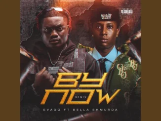 Evado By Now Ft Bella Shmurda