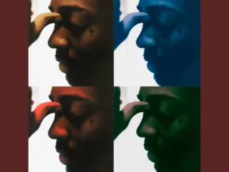 Brent Faiyaz Wrong Faces