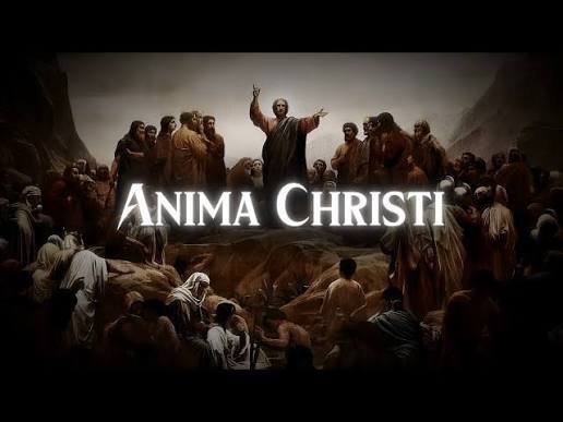 Hardknock – Anima Christi