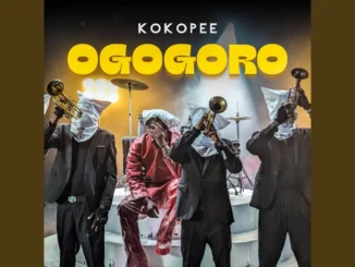 Koko Pee Ogogoro