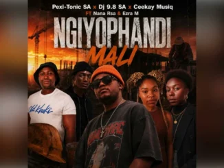 Pexi Tonic Sa Ngiyophandi Mali Pexi Tonic Sa Dj 9 8 Sa Ceekay Musiq Official Audio Ft Ceekay Musiq Dj 9 8 Sa Uyazi Nana Rsa And Ezra M